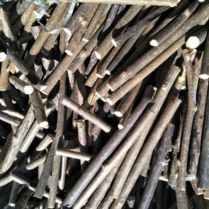 YH05 <span class=keywords><strong>Mu</strong></span> Tian Liao 0,5-0.7dia Natural SilverVine Wood Stick Pet Cat Herramienta de limpieza de dientes Actinidia Polygama Molar Rod Pure Toy - Product Image 6