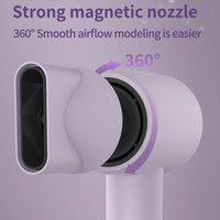 Sèche-cheveux Nano Ion à grande vitesse pour des résultats de salon personnalisés Sèche-cheveux OEM ODM SKD pour le séchage des cheveux des femmes
