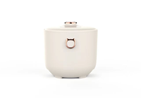 Automatique 3L Smart Digital Minuterie Contrôle Électrique IH Électromagnétique Chauffage Cuiseur À Riz Cuisson Rapide Conception Portable