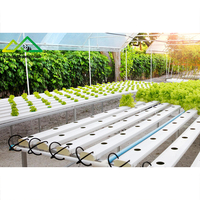 Système hydroponique à tuyaux en PVC multicouches |   Solution de serre modulaire pour la culture verticale de fraises et d'herbes