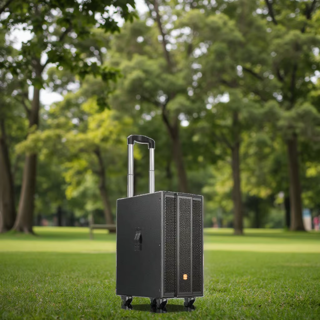 BDSOUND Dual 8-Inch Outdoor Portable Trolley Speaker 220W Live Deep Bass for 5.0 Wireless for Mobile Phone Karaoke Use