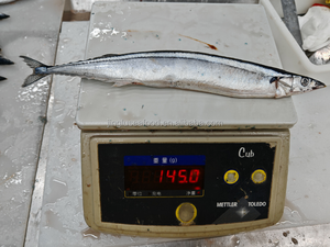 Saury et maquereau frais congelés de première qualité, traités BQF, emballage en vrac de 10 kg pour les restaurants japonais de sushi - Product Image 4