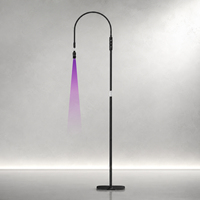 Lampe UV professionnelle 1-5W pour extensions de cils, support réglable sur pied, outil de beauté, contrôle tactile, séchage rapide, silicone et plastique