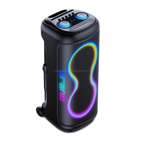 CSN-S1210 Enceinte d'extérieur avec lumières LED RGB, alimentée par batterie, boîtier en plastique
