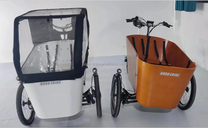 Tricycle électrique <span class=keywords><strong>cargo</strong></span> <span class=keywords><strong>danois</strong></span> à balançoire, batterie au lithium aluminium 36V 250W, moteur sans balais, porte-bagages arrière, vélo <span class=keywords><strong>cargo</strong></span> électrique familial - Product Image 6