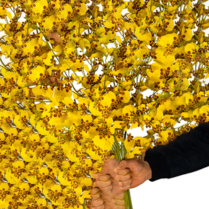 <span class=keywords><strong>Orchidée</strong></span> artificielle jaune <span class=keywords><strong>Oncidium</strong></span> réaliste et souple de 81 cm, idéale pour les arrangements floraux et les mariages - Product Image 6