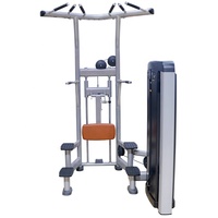 Machine de gymnastique Assisted Chin Dip Machine Strength Chin up Trainer Fitness Equipment for Workout