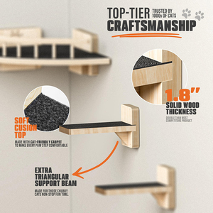 Treo tường góc mèo Giường mèo Kệ bước đồ nội thất vật nuôi cho mèo trong nhà leo nhảy cá rô gãi bài viết cho tường - Product Image 3