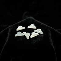 Accessoires de bijoux personnalisés en nacre, perles de coquillages en vrac