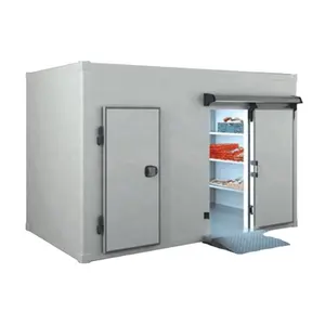 Walk in Blast Freezer Room Chiller Cold Room Solar Powered Cold Store Container Industrial Refrigerator For Meat