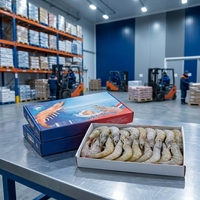 Boîte de transport pour fruits de mer frais, en PP premium, 4mm, résistante aux UV, 600x400x300mm, pour la vente en gros, découpe sur mesure, OEM/ODM disponible