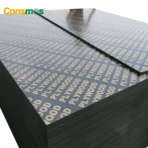 Competitive Price 2-22 Mm Black Combi Core Film Faced Plywood With Wbp Glue