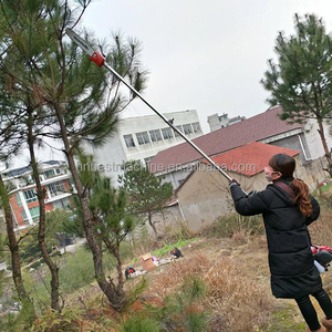 Gergaji ranting pohon bertenaga bensin 2 tak dengan gagang teleskopik panjang - Product Image 2