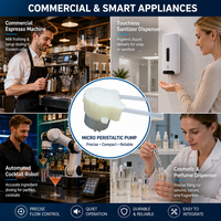 Pompe doseuse péristaltique micro 6V 200ml/min, tube en silicone de qualité alimentaire, silencieuse, pour machine à café, tire-lait, aquarium, distributeur de savon