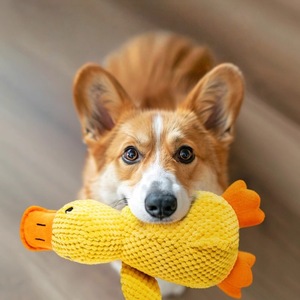 Köpek Sakinleştirici Ördek Lüks Karikatür Peluş Sarı Ses Çıkaran Çiğneme Oyuncakları Çevre Dostu Pamuklu Yok Edilemez Ağır Hizmet Tipi Dayanıklı - Product Image 1