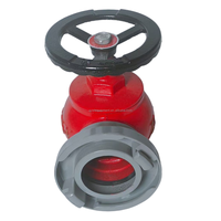 Hidran Kebakaran Dalam Ruangan Rotary Wanlian SNZ65-Y, 2.5" DN65, Besi Daktile dengan Lapisan Powder Coating, Dilengkapi Port Gulungan Selang