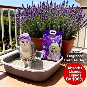 ดงไนเพ็ทส์ ผู้ผลิตขายตรง ทรายแมวเบนโทไนต์คุณภาพสูง เป็นมิตรกับสิ่งแวดล้อม ละลายน้ำได้ ดูดซับดี 8 กก. จับตัวเป็นก้อนเร็ว - Product Image 1