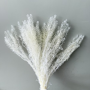 Mini Fiore Essiccato e Conservato per Cornici Artigianali, Candele e Creazioni Fai-da-Te in Resina Epossidica - Product Image 3