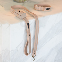 Laisse en cuir PU pour chien 2021, accessoire personnalisé pour animaux de compagnie, porte-sacs, créateur avec collier de chien