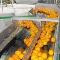 Ligne de production de jus de citron, d'orange et d'agrumes automatique multifonctionnelle, nouvelle usine de transformation des fruits et légumes électriques