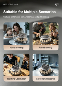 WONEGG Nueva Tendencia Incubadora de Huevos Mini con Control por Voz <span class=keywords><strong>Howard</strong></span> 12, Incubadora Automática para Pollos - Product Image 2