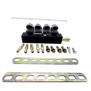 Modifikasi Mobil LPG/CNG dari Oli ke Gas Gray DIGI Spray Rail 2 Ohm Suku Cadang Mobil Gas Standar - Product Image 1