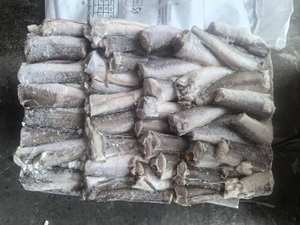 价格便宜优质冷冻哈克鱼HGT哈克 - Product Image 2