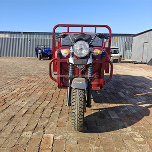 Triciclo <span class=keywords><strong>de</strong></span> Carga Tuk Tuk <span class=keywords><strong>de</strong></span> 150 CC con Motor a Gasolina en Oferta, Económico, Tipo Carrocería Abierta para Carga y Pasajeros - Product Image 3