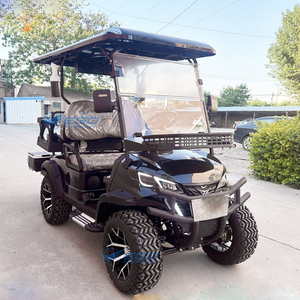 Carrito de Golf Eléctrico Todoterreno de 4 Ruedas para Uso en Exteriores a Bajo Precio, Vehículo Eléctrico/Vehículo de Transporte Especial - Product Image 2