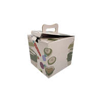 Draagbare Custom Logo Gedrukt Golfkarton Papier Kartonnen Verpakking Doos Spons Voor Granaatappel Drakenfruit Groenten