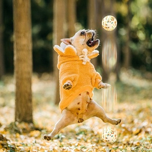 Balle à mâcher pour chien en ETPU à rebond élevé, résistante aux morsures, jouet de nettoyage des dents molaires, balle de jeu élastique durable pour l'entraînement interactif - Product Image 4