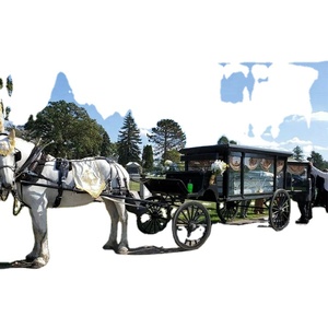 High Quality Luxury Horse <b>Hearse</b> Hot <b>Sale</b> Coffin Horse Carriage Special Transportation by Manufacturer - Product Image 3