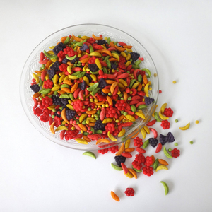 High Quality <strong>Parrot</strong> <strong>Pellet</strong> for Middle and Large <strong>Parrot</strong> <strong>Food</strong> - Product Image 1
