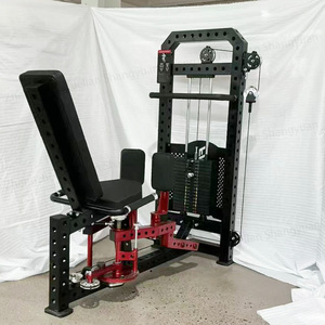 YLSY001YD114 YLSY001YD114 YLSY Machine de musculation commerciale pour abducteurs et adducteurs de hanche, pour mini-chargeuses compactes, construction robuste en acier, 160 kg - Product Image 2