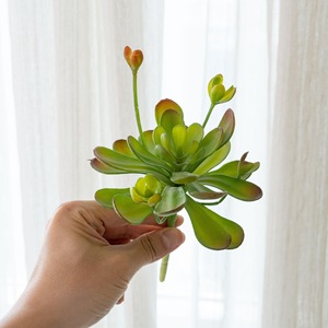 CallaFloral Plante succulente artificielle murale, vert clair, rouge foncé, en plastique, haute simulation, pour décoration de mariage et de maison - Product Image 2