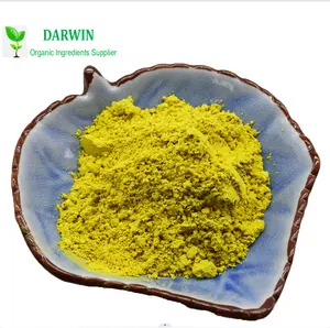 Sell Well New Type Sophora Japonica Pagodatree Flower Bud Extract Quercetin