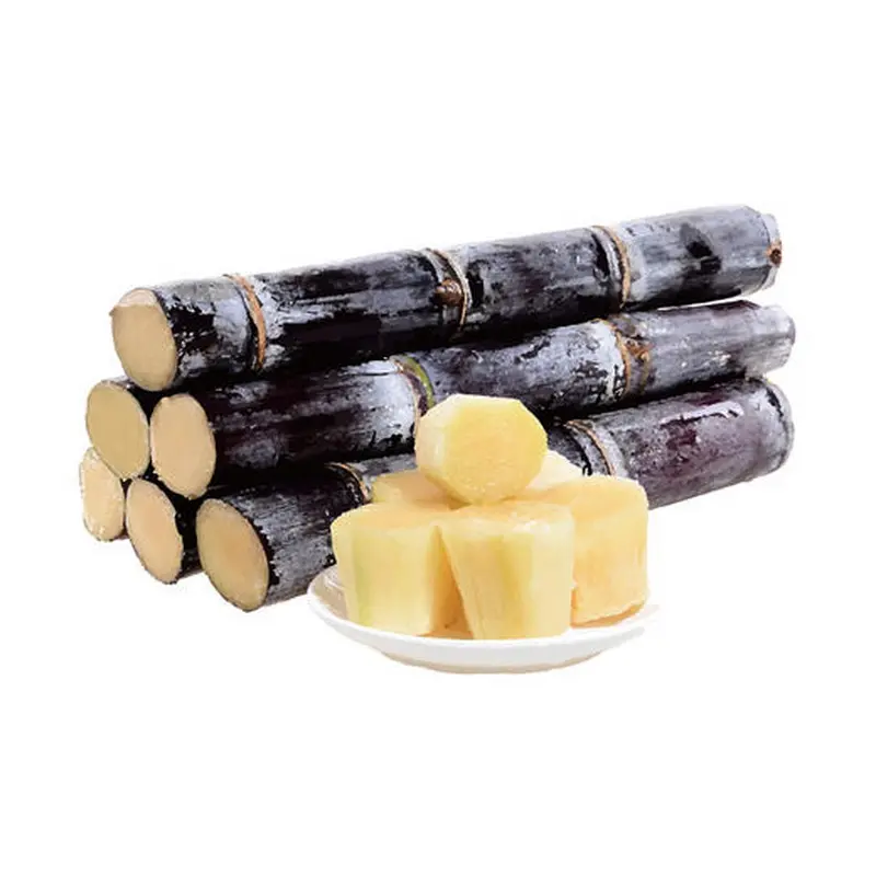 Wholesale price fresh sugarcane export high quality
