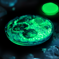 Poudre de pigment d'aluminate de strontium réactive aux UV, 12 couleurs néon phosphorescentes, haute luminosité, non toxique, jaune-vert, pour résine époxy