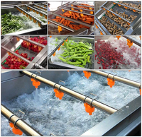 Industriële automatische warmwater mango, drakenvrucht en groente bubbelwas- en droogmachine met ozon