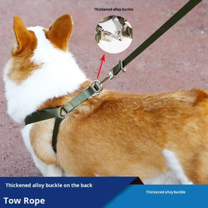 Fibbia in lega ispessita per <span class=keywords><strong>cani</strong></span> in Nylon solido per <span class=keywords><strong>cani</strong></span> di grossa taglia Golden retriever Border collie per animali domestici - Product Image 3