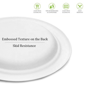 Plate Bagasse Plates Biodegradable Food Container Sugarcane Bagasse Plate Renewable Sugarcane Disposable Plant Plate