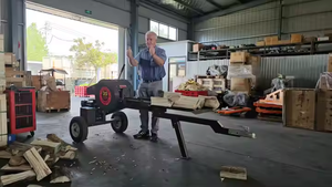 Fendeuse de bûches de 35 tonnes, fendeuse de bûches hydraulique de 6,5 CV, processeur de bois mobile cinétique, fendeuse de bûches - Product Image 2