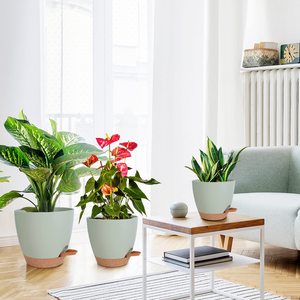 وعاء نباتات ذاتي الري مقاس 12/10/9 بوصة للنباتات الداخلية مع فتحة تصريف، وعاء زهور بلاستيكي للنباتات العصارية والبنفسج الأفريقي - Product Image 4