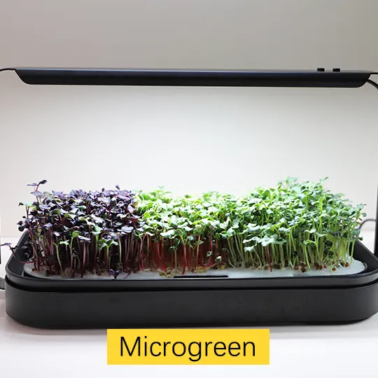 Creative Gift Kitchen Garden Seed Sprouting Self Watering Hydroponic Grow Kit System Microgreen Smart Herb Planters