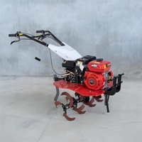 Mini Motocultor 2WD con Motor de Gasolina de 7hp para Campos Agrícolas, Huertos, Jardines y Huertos de Verduras con Implemento Gratuito