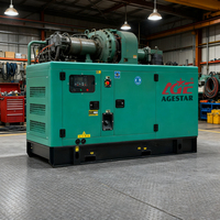 Groupes électrogènes diesel silencieux à vente chaude 16KW 20KVA 20KW 25KVA pour utilisation agricole