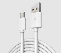 Câble d'extension USB vers Type C extra long en TPE blanc pour téléphone portable, caméra, charge rapide, transfert de données