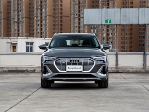 SUV <span class=keywords><strong>E</strong></span>-<span class=keywords><strong>tron</strong></span> de Lujo Totalmente Mantenido con Rieles de Techo de Fábrica, Suspensión Neumática y Techo Panorámico, Entrega a Todos los Puertos Africanos - Product Image 2