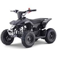 Factory Direct 500W Electric Beach Car New 49cc Go Karts avec 36V 4 Stroke Small Arctic Off-Road Buggy Certifié pour les enfants