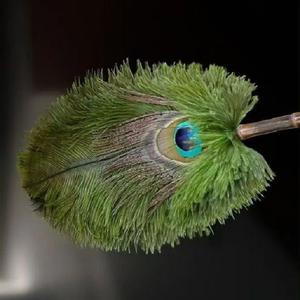 <span class=keywords><strong>Plumeau</strong></span> en plumes de paon <span class=keywords><strong>vert</strong></span> naturel réutilisable, écologique et économique pour le nettoyage de la maison et de la voiture - Product Image 2